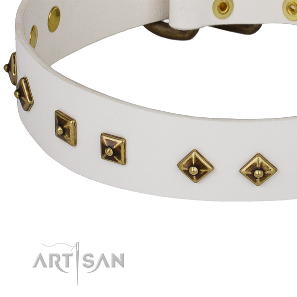 Impressive genuine leather collar for your handsome canine