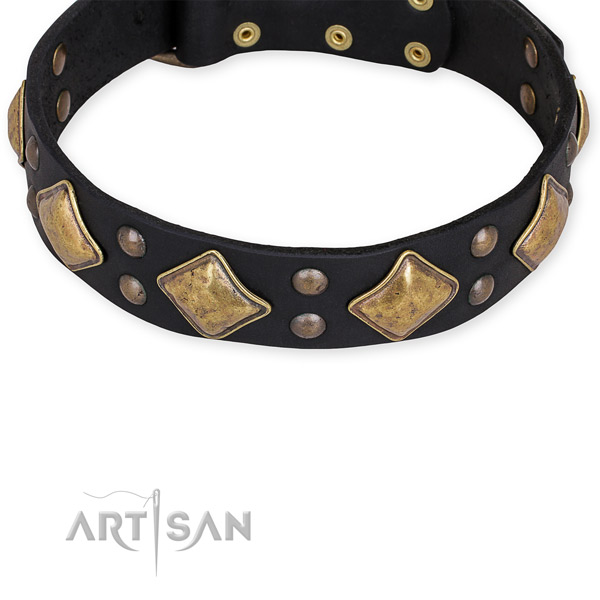 Leather dog collar with stunning rust resistant embellishments