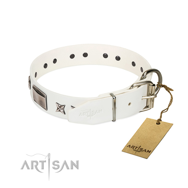 Adorned collar of full grain genuine leather for your stylish doggie