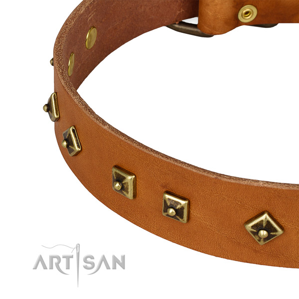 Remarkable genuine leather collar for your beautiful four-legged friend