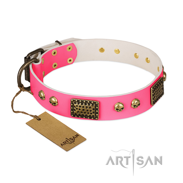 Easy to adjust leather dog collar for walking your canine