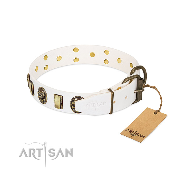 Corrosion resistant D-ring on full grain leather collar for walking your pet