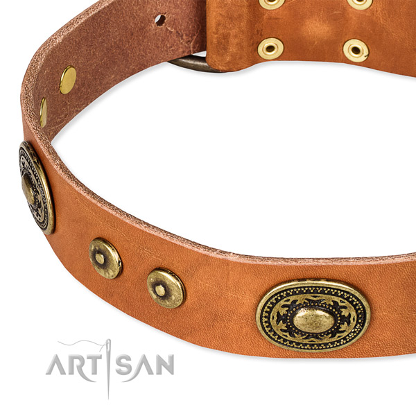 Full grain natural leather dog collar made of soft material with adornments