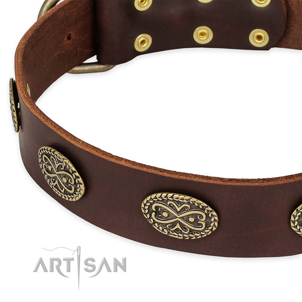 Exceptional genuine leather collar for your stylish canine