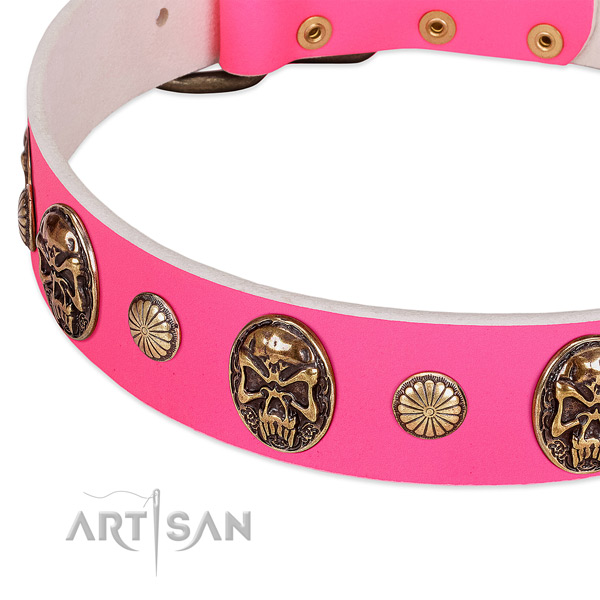 Rust-proof embellishments on full grain natural leather dog collar for your pet
