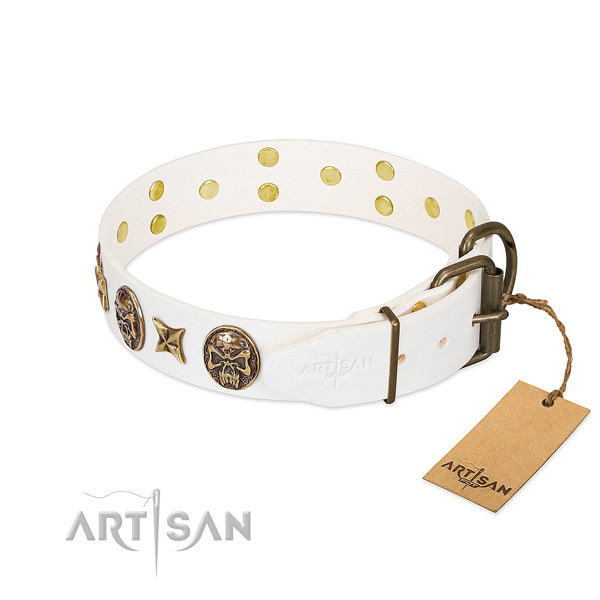 Durable buckle on full grain genuine leather collar for basic training your dog