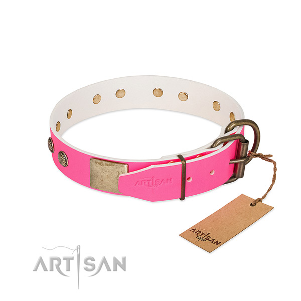 Rust resistant adornments on easy wearing dog collar