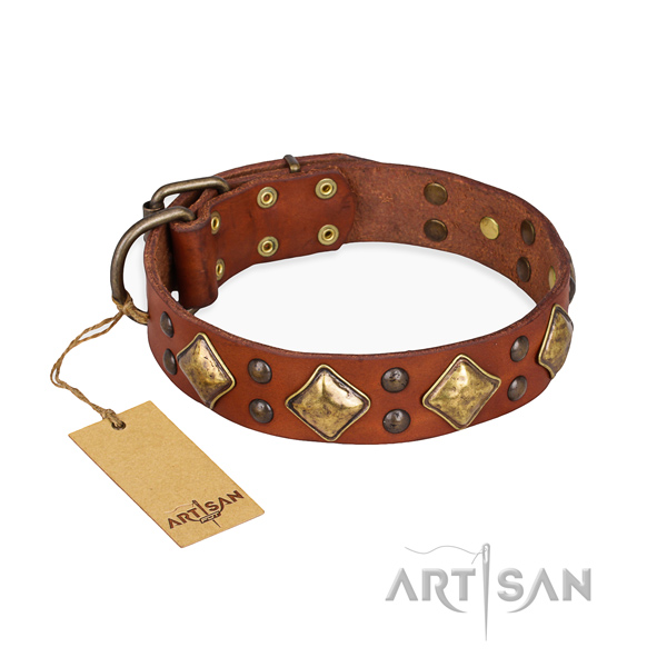 Stylish walking exquisite dog collar with rust resistant hardware