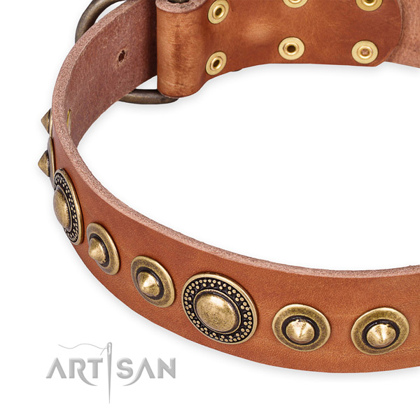 Reliable full grain genuine leather dog collar crafted for your handsome canine