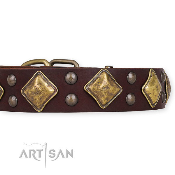 Natural leather dog collar with unusual strong decorations