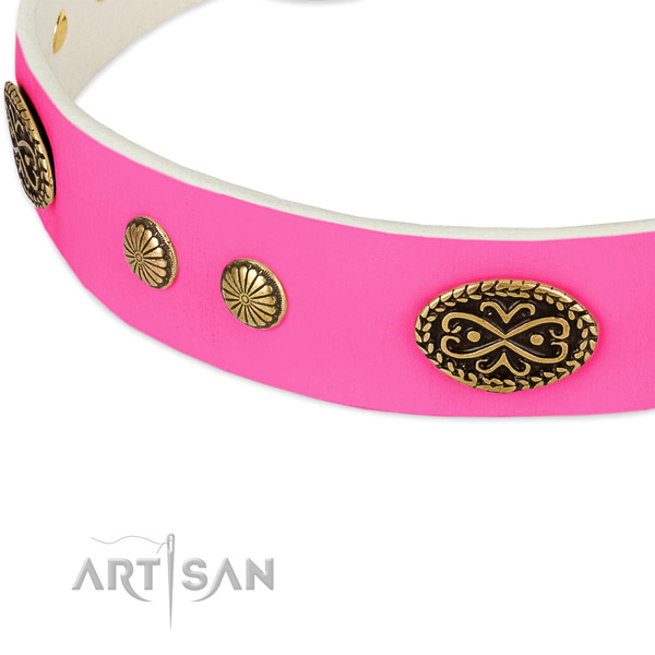 Durable fittings on full grain leather dog collar for your four-legged friend