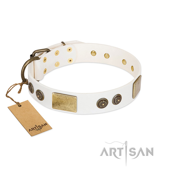 Fashionable genuine leather dog collar for daily walking