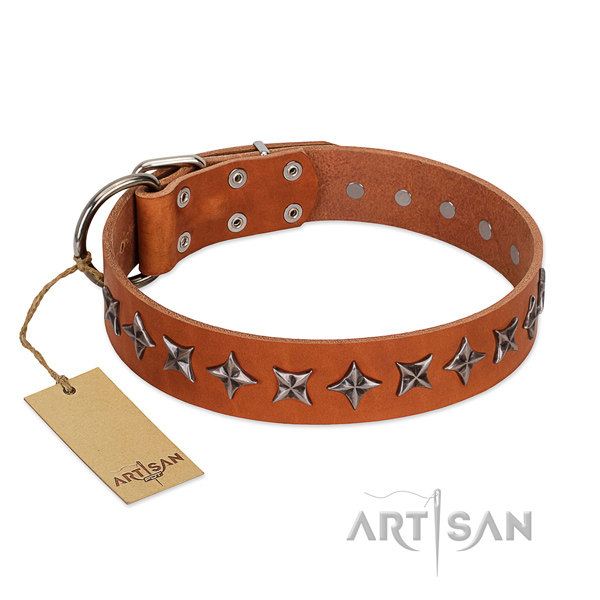 Comfortable wearing dog collar of reliable natural leather with adornments