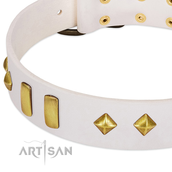 Top rate natural leather dog collar with strong fittings