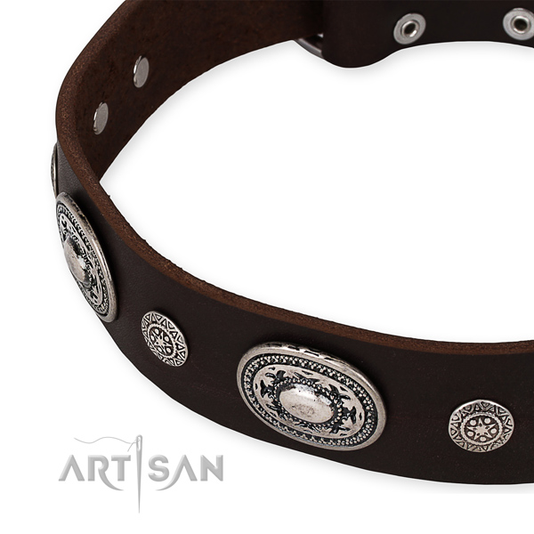 Top rate genuine leather dog collar crafted for your impressive doggie