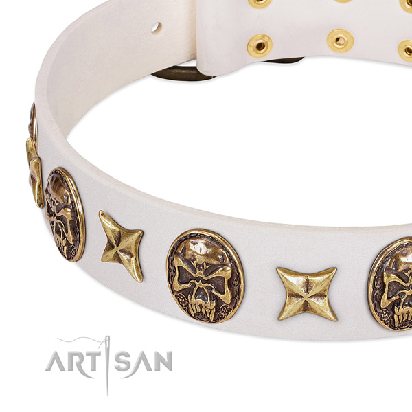 Full grain natural leather dog collar with reliable traditional buckle