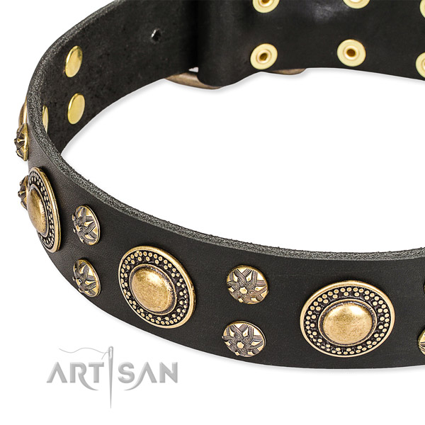 Daily use decorated dog collar of best quality full grain natural leather