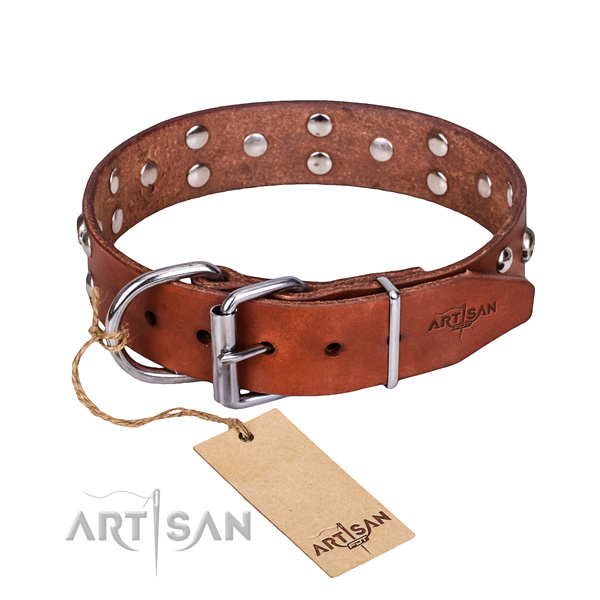 Handy use dog collar of high quality full grain natural leather with embellishments