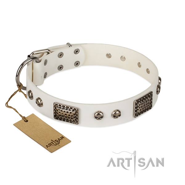Easy to adjust natural genuine leather dog collar for walking your dog
