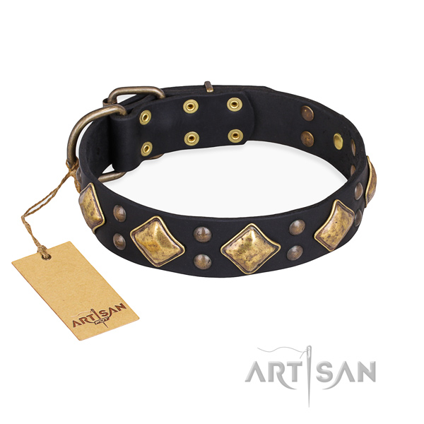 Handy use remarkable dog collar with reliable traditional buckle