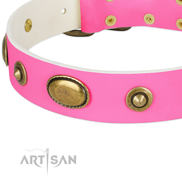 Corrosion resistant buckle on leather dog collar for your pet