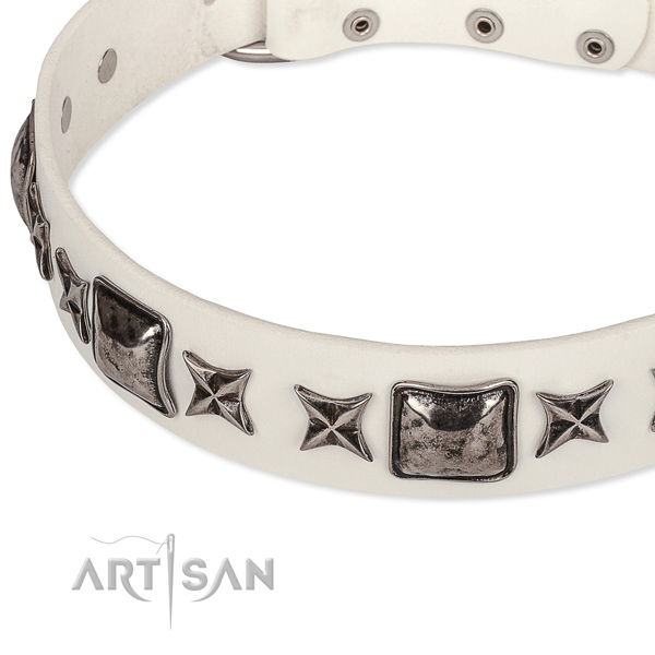 Walking studded dog collar of top notch full grain natural leather
