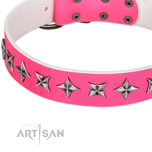 Daily use studded dog collar of top notch full grain leather
