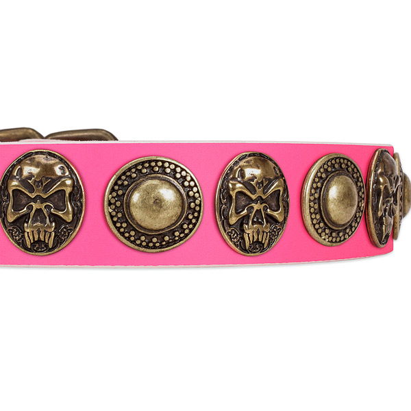 Corrosion proof D-ring on full grain genuine leather dog collar for your pet