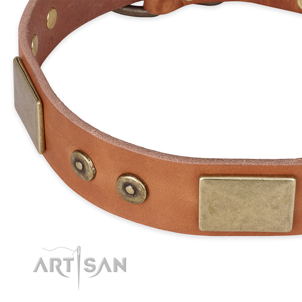 Corrosion proof traditional buckle on full grain leather dog collar for your canine