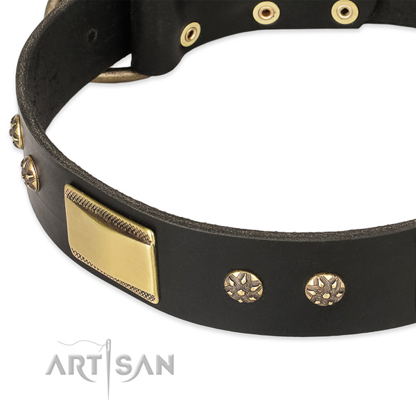 Rust resistant hardware on leather dog collar for your canine