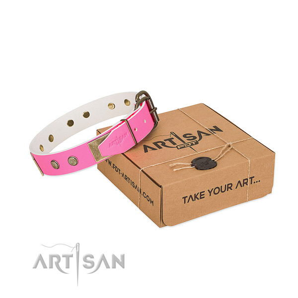 Rust-proof traditional buckle on dog collar for easy wearing