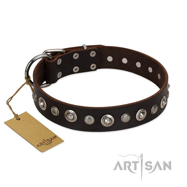Reliable full grain genuine leather dog collar with remarkable studs