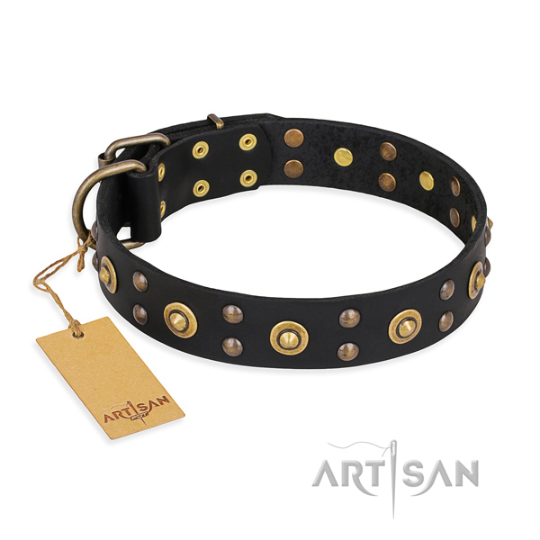 Stylish walking trendy dog collar with rust resistant fittings