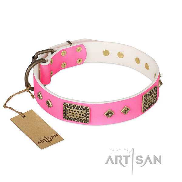 Easy adjustable genuine leather dog collar for daily walking your pet
