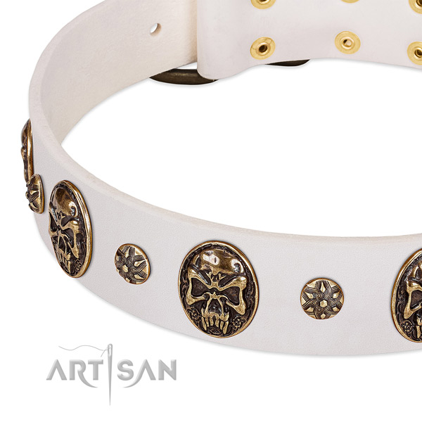 Rust resistant adornments on full grain natural leather dog collar for your pet