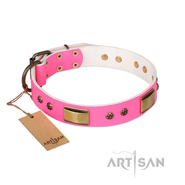 Easy to adjust full grain genuine leather collar for your dog