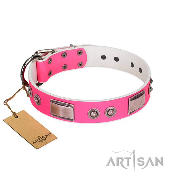 Exceptional dog collar of full grain leather with embellishments