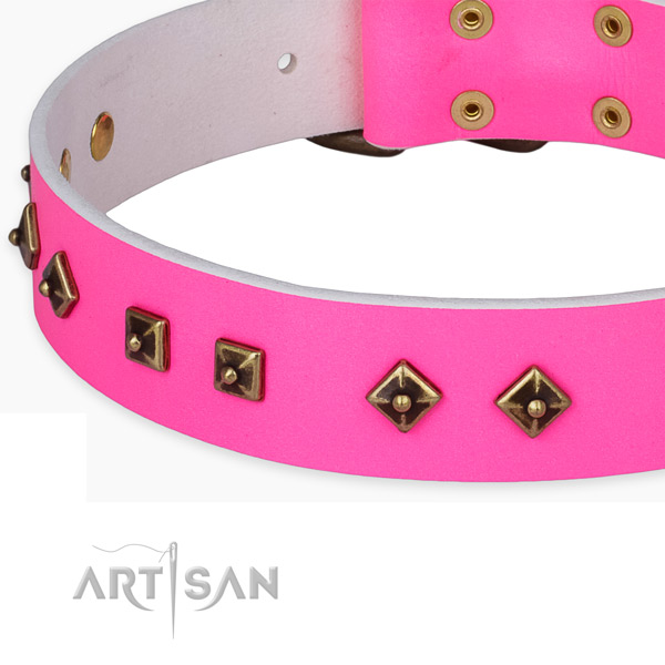 Top notch natural leather collar for your impressive pet