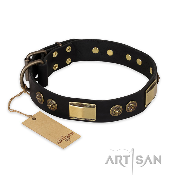 Unusual full grain natural leather dog collar for fancy walking