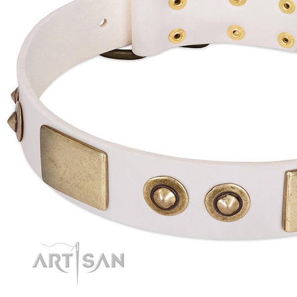 Corrosion proof embellishments on genuine leather dog collar for your canine