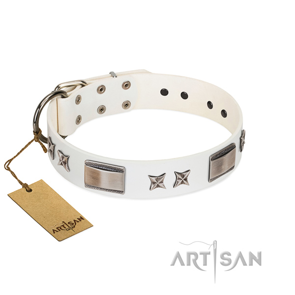 Top notch dog collar of full grain genuine leather