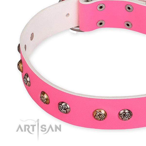Full grain genuine leather dog collar with fashionable strong embellishments