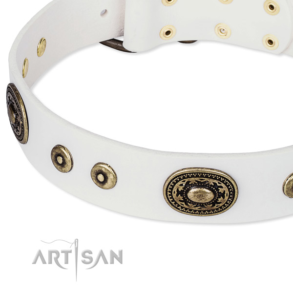 Leather dog collar made of soft to touch material with studs