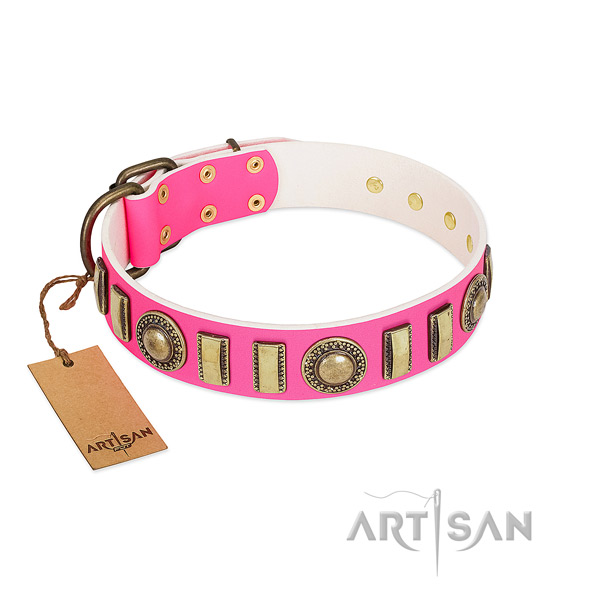 Significant full grain natural leather dog collar with corrosion proof buckle