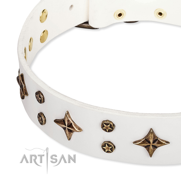 Everyday use decorated dog collar of strong full grain leather
