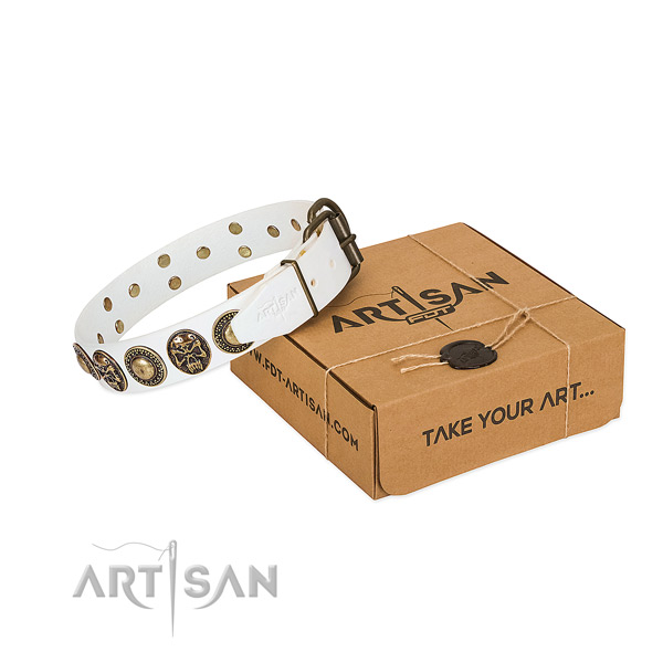 Rust resistant embellishments on dog collar for daily walking