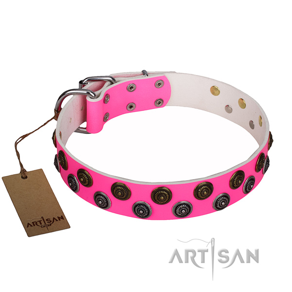 Comfortable wearing dog collar of quality full grain genuine leather with studs