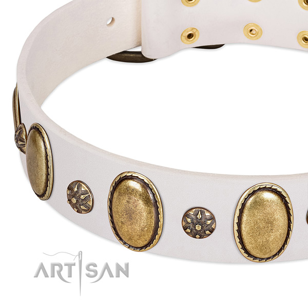 Everyday use best quality full grain natural leather dog collar with studs