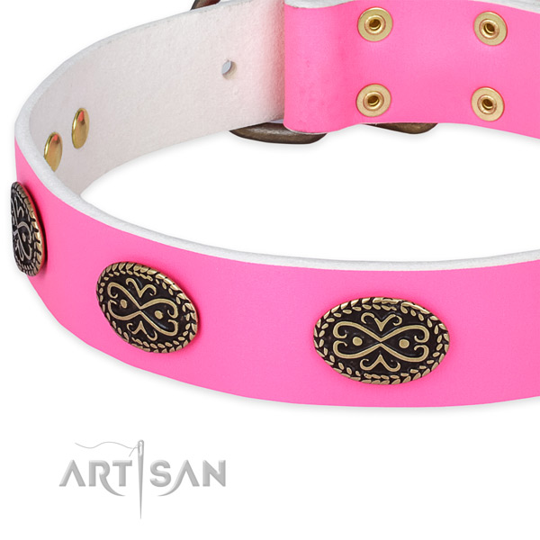 Natural genuine leather dog collar with studs for everyday walking
