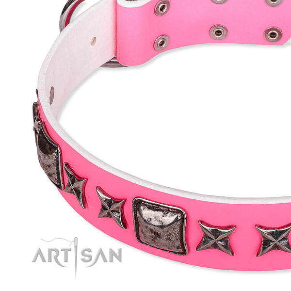 Everyday walking decorated dog collar of reliable full grain genuine leather